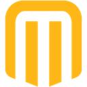 Logo store in the header